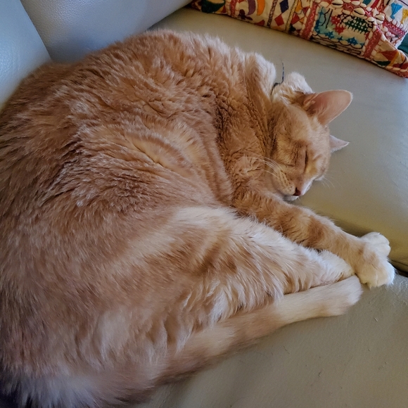 Meet your Posher, TKO - Picture 12 of 12